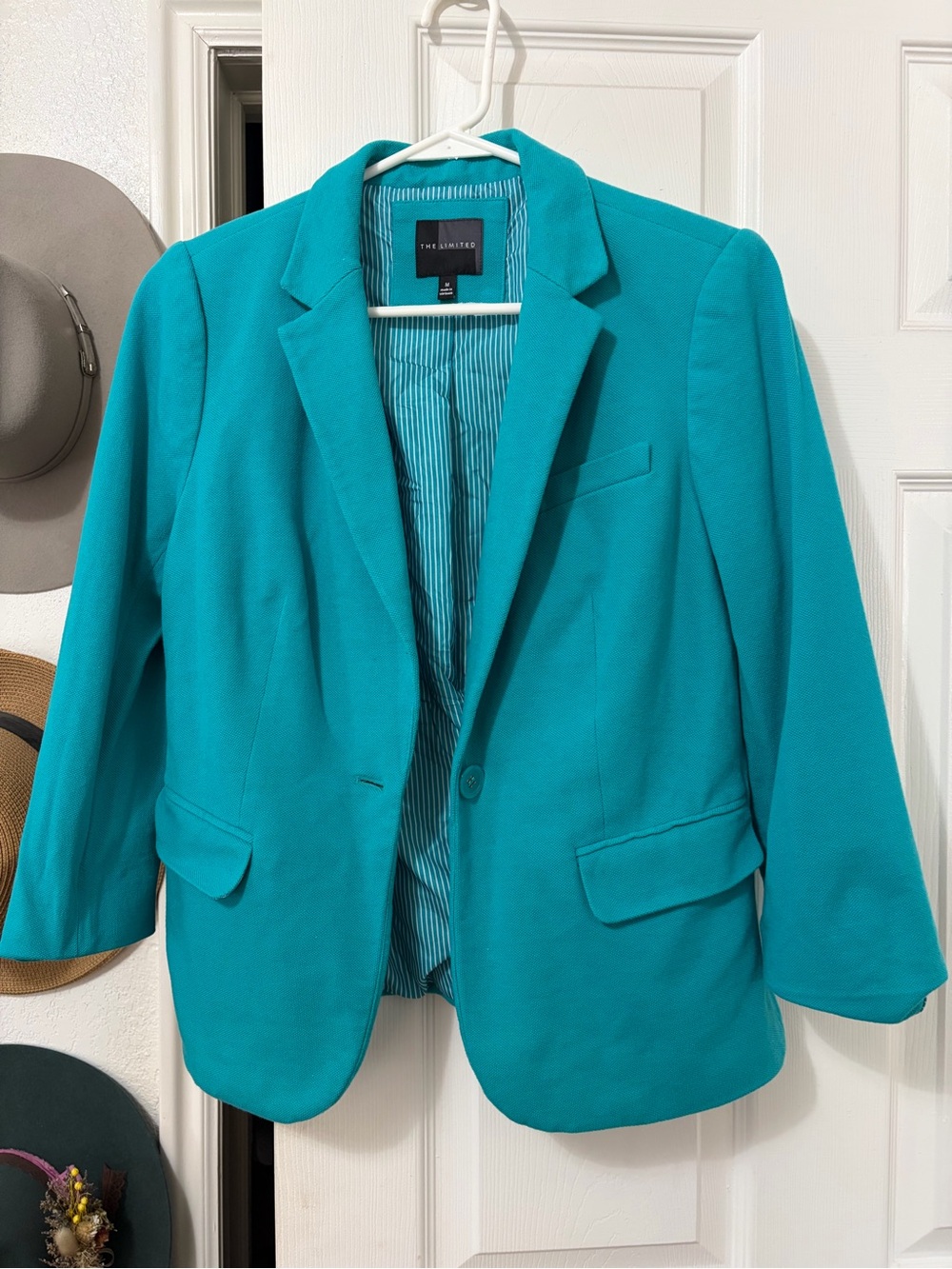 The Limited Teal Single-Button Blazer